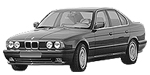 BMW E34 B196E Fault Code